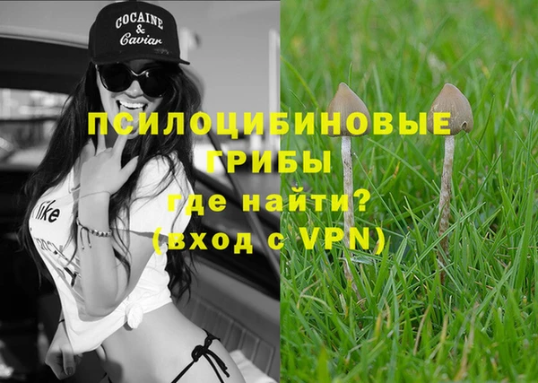 соль курить ск Козловка